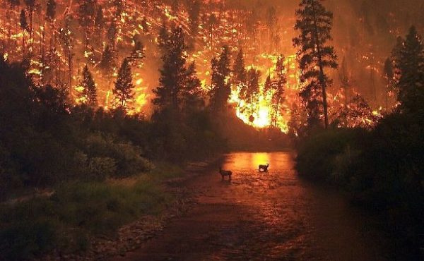 Wildfires And Floods Destroy Cars, So Protecting Documents Is Vital wildfire-floods-destroy-cars